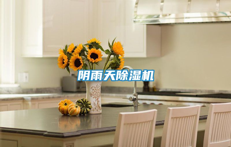 阴雨天除湿机