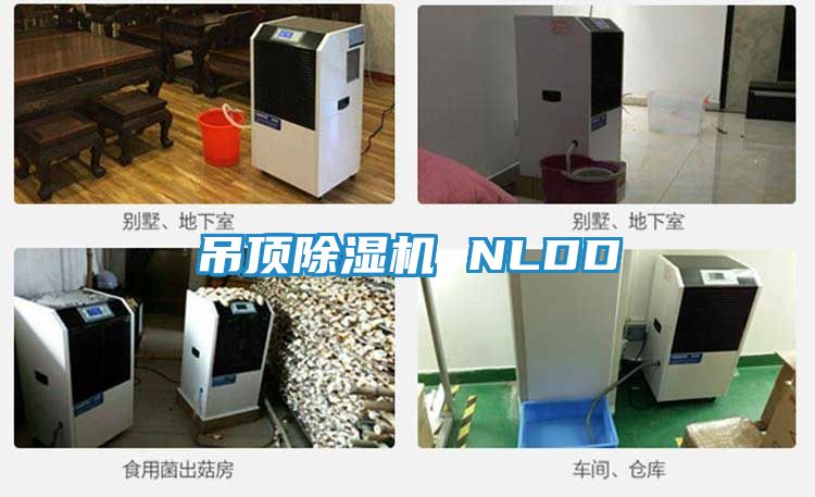 吊顶除湿机 NLDD