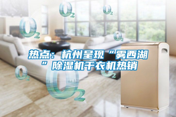 热点:杭州呈现“雾西湖”除湿机干衣机热销