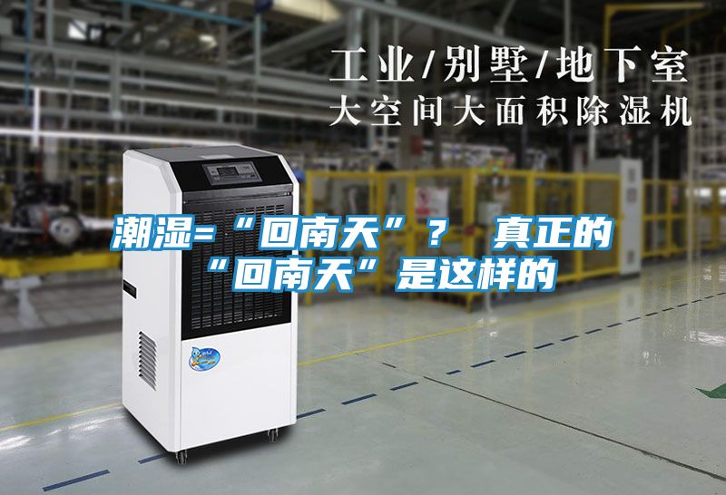 潮湿=“回南天”？ 真正的“回南天”是这样的