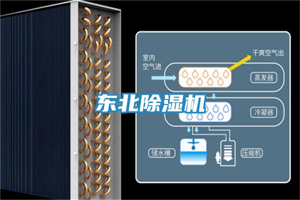 东北除湿机
