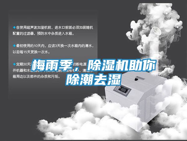 梅雨季,除湿机助你除潮去湿