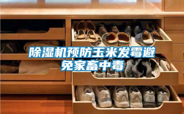 除湿机预防玉米发霉避免家畜中毒