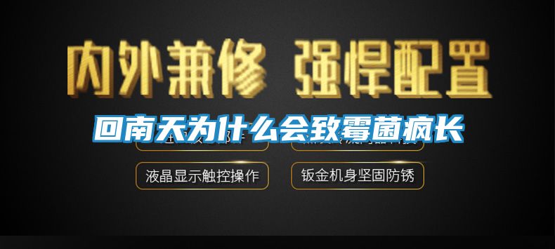 回南天为什么会致霉菌疯长