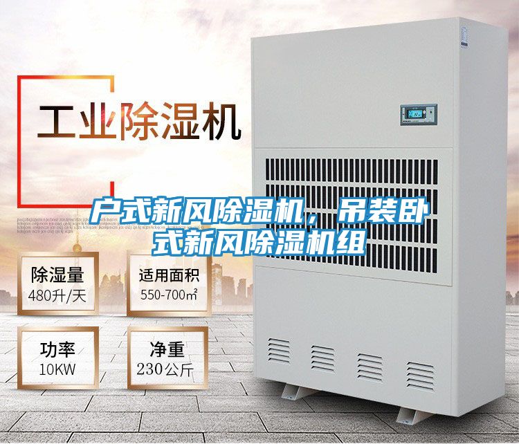 户式新风除湿机，吊装卧式新风除湿机组