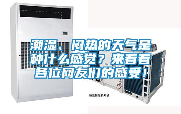 潮湿、闷热的天气是种什么感觉？来看看各位网友们的感受！