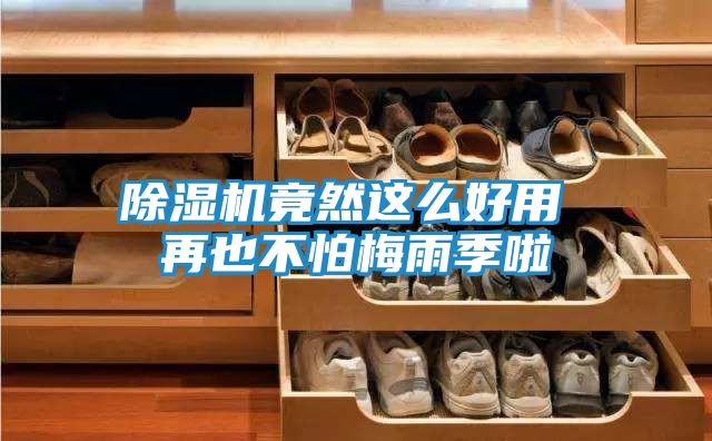 除湿机竟然这么好用 再也不怕梅雨季啦