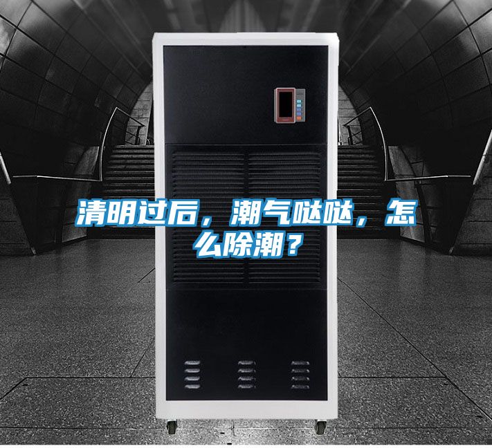 清明过后，潮气哒哒，怎么除潮？