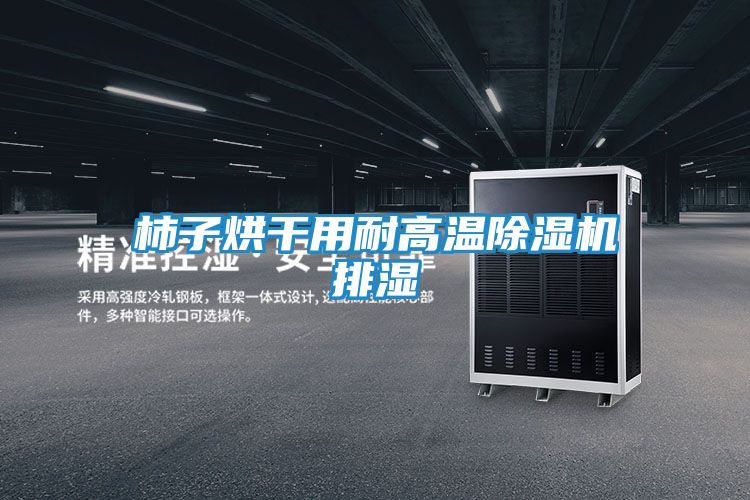 柿子烘干用耐高温除湿机排湿