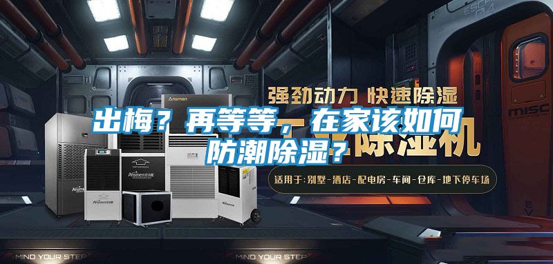 出梅？再等等，在家该如何防潮除湿？