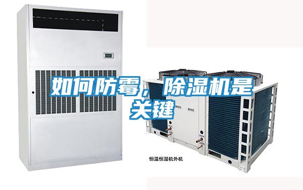 如何防霉，除湿机是关键