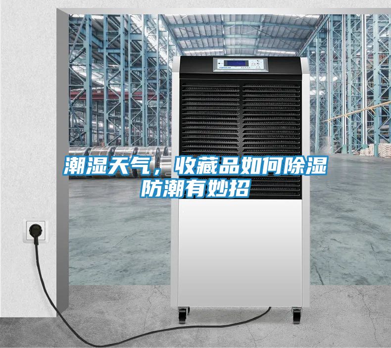 潮湿天气，收藏品如何除湿防潮有妙招