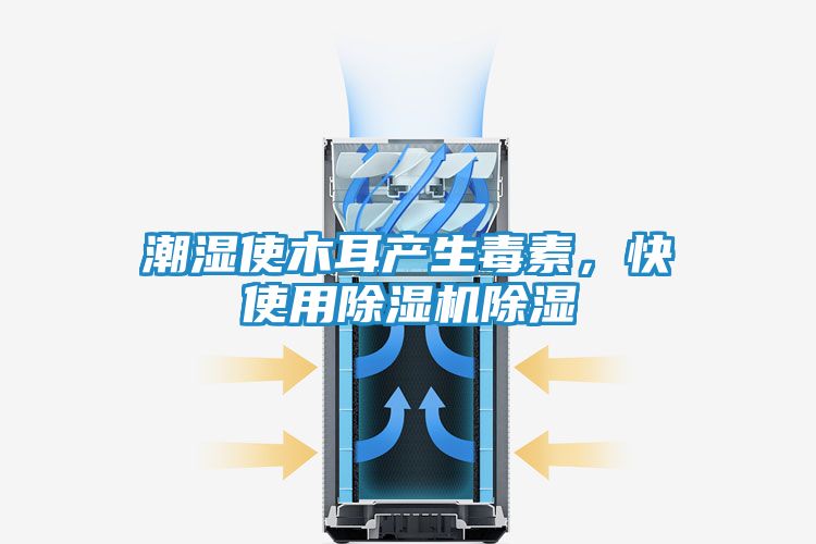 潮湿使木耳产生毒素，快使用除湿机除湿