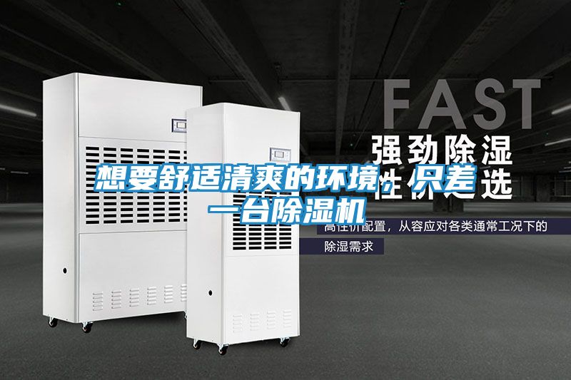 想要舒适清爽的环境，只差一台除湿机