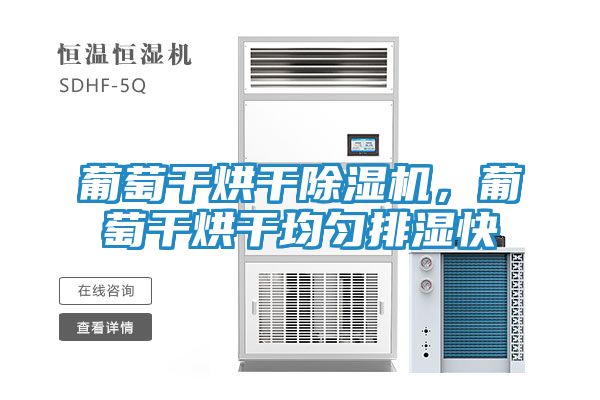 葡萄干烘干除湿机，葡萄干烘干均匀排湿快