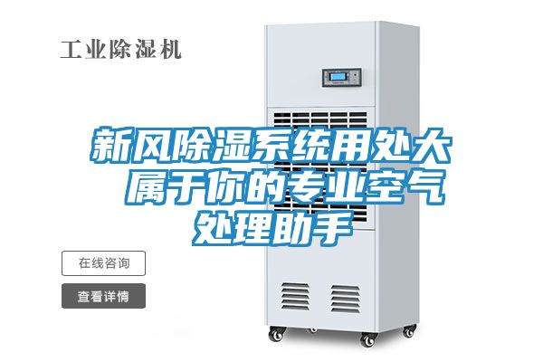 新风除湿系统用处大 属于你的专业空气处理助手