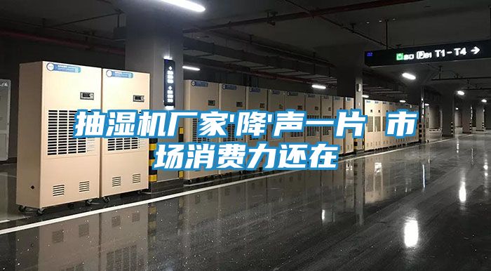 抽湿机厂家'降'声一片 市场消费力还在