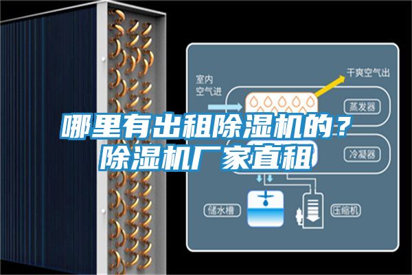 哪里有出租除湿机的?除湿机厂家直租