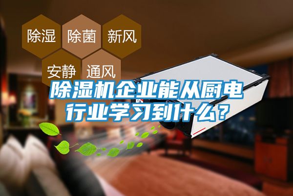 除湿机企业能从厨电行业学习到什么？
