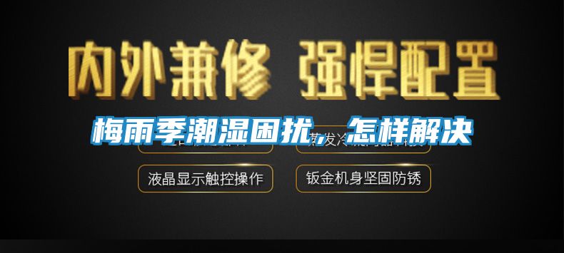 梅雨季潮湿困扰，怎样解决
