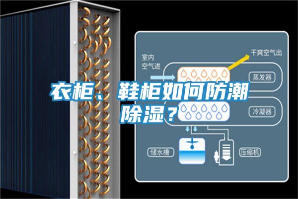 衣柜、鞋柜如何防潮除湿？