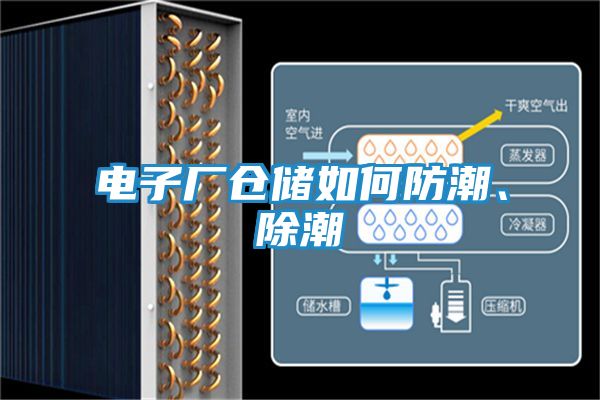 电子厂仓储如何防潮、除潮