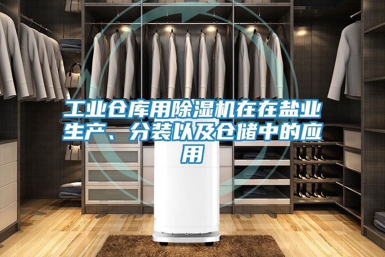 工业仓库用除湿机在在盐业生产、分装以及仓储中的应用