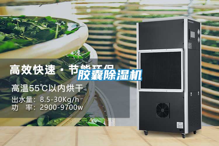 胶囊除湿机
