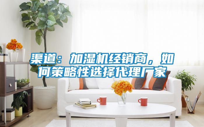 渠道:加湿机经销商,如何策略性选择代理厂家