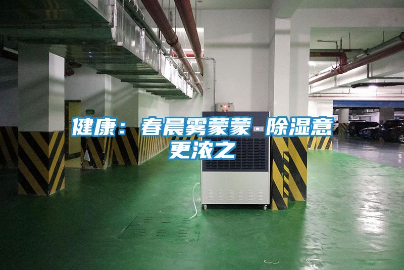 健康:春晨雾蒙蒙 除湿意更浓之