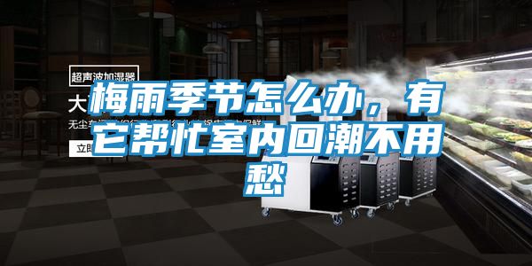 梅雨季节怎么办,有它帮忙室内回潮不用愁
