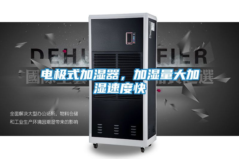 电极式加湿器，加湿量大加湿速度快