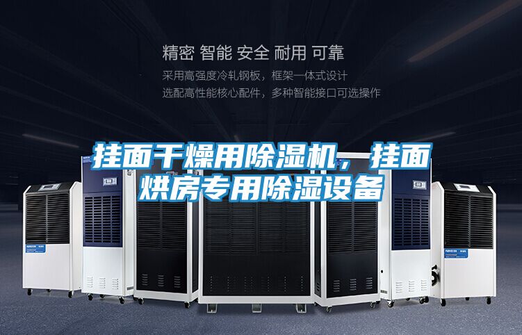挂面干燥用除湿机,挂面烘房专用除湿设备