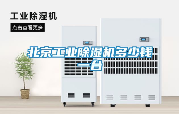 北京工业除湿机多少钱一台