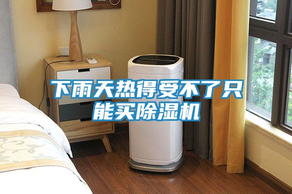 下雨天热得受不了只能买除湿机