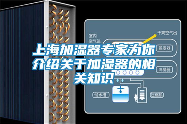上海加湿器专家为你介绍关于加湿器的相关知识