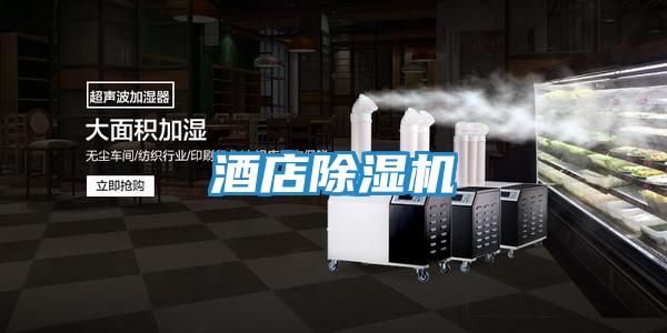 酒店除湿机