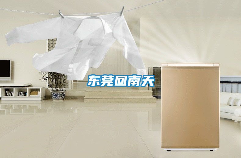 东莞回南天