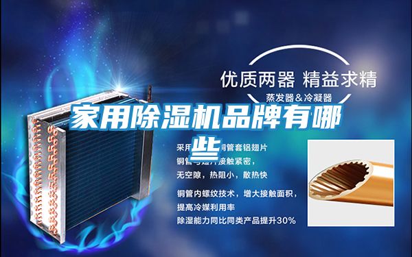 家用除湿机品牌有哪些