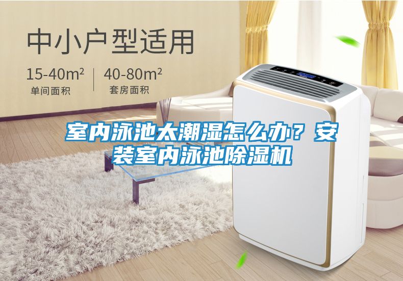 室内泳池太潮湿怎么办?安装室内泳池除湿机