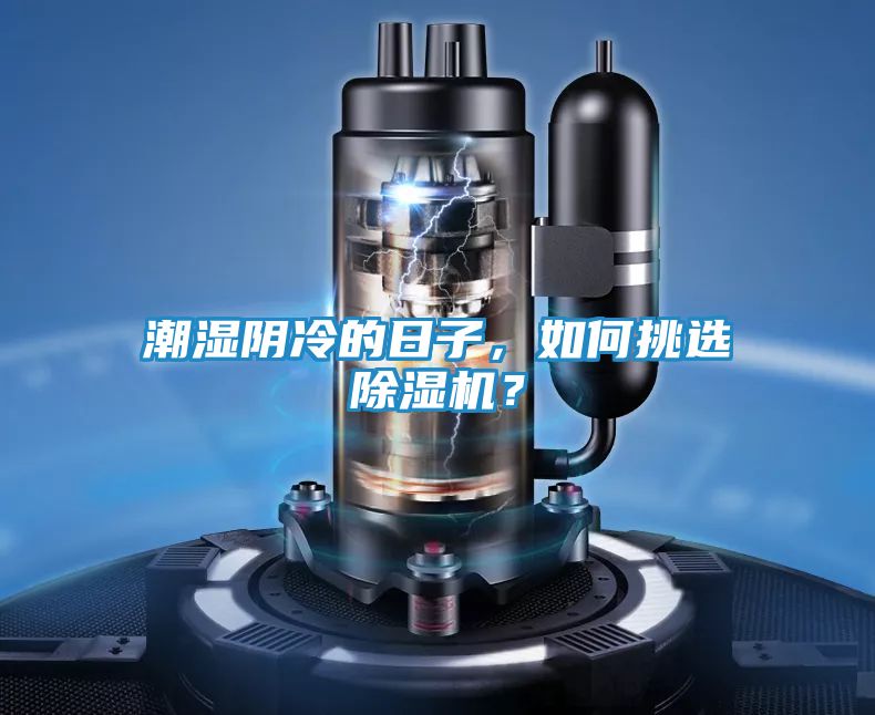 潮湿阴冷的日子，如何挑选除湿机？