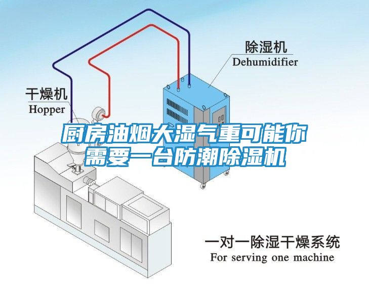 厨房油烟大湿气重可能你需要一台防潮除湿机
