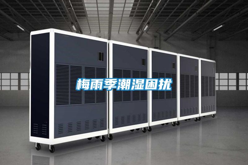 梅雨季潮湿困扰