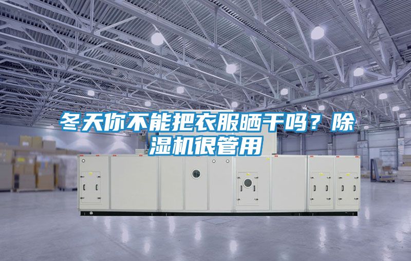 冬天你不能把衣服晒干吗？除湿机很管用