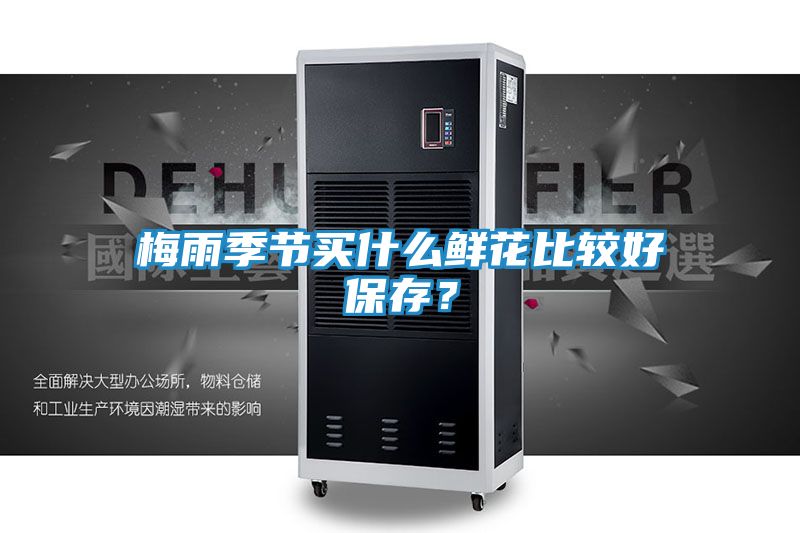 梅雨季节买什么鲜花比较好保存？