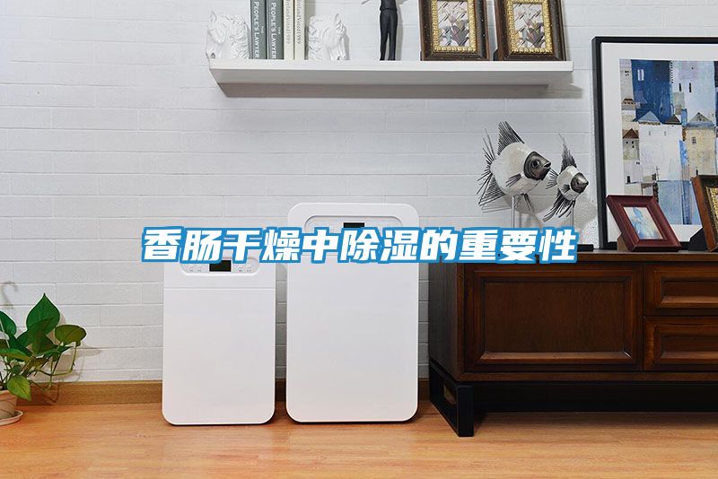 香肠干燥中除湿的重要性