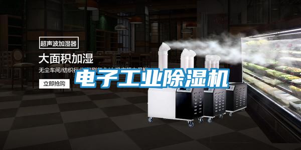 电子工业除湿机