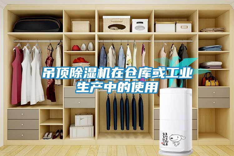 吊顶除湿机在仓库或工业生产中的使用