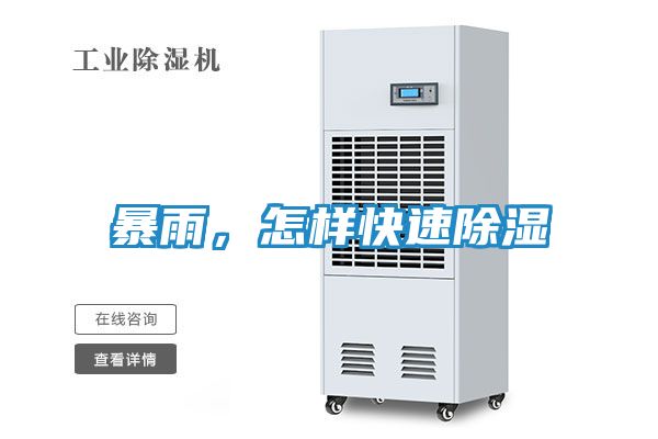 暴雨,怎样快速除湿