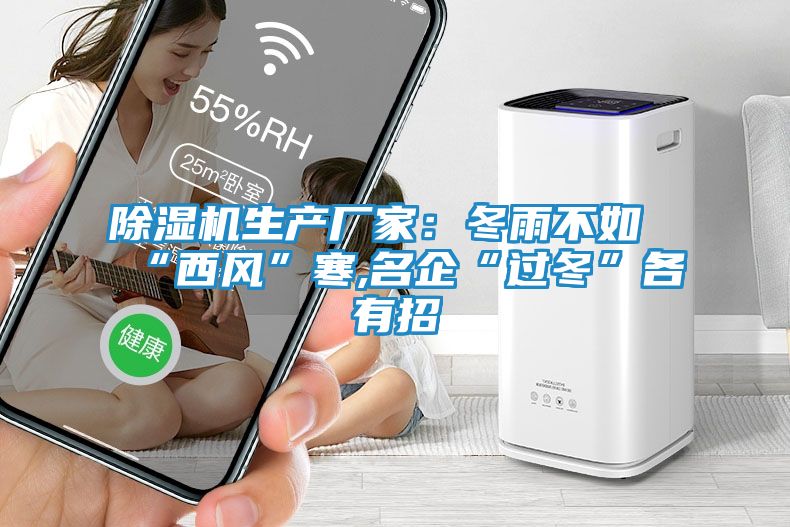 除湿机生产厂家：冬雨不如“西风”寒,名企“过冬”各有招